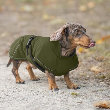 Зимовий теплий одяг для такси (S), водонепроникний зимовий одяг для собак, куртка для маленьких собак XS, зимовий одяг для собак з захистом живота та отвором для повідка, армійсько-зелений