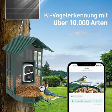Розумна годівниця для птахів з WiFi камерою, відеозаписом і сонячною панеллю, Vogelhaus, автоматичний годівник із розпізнаванням птахів для двору
