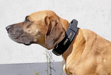 Шкіряний нашийник для собак Dingo Gear Drago, з ручкою, амортизований, чорний, ручна робота, 48-56 см
