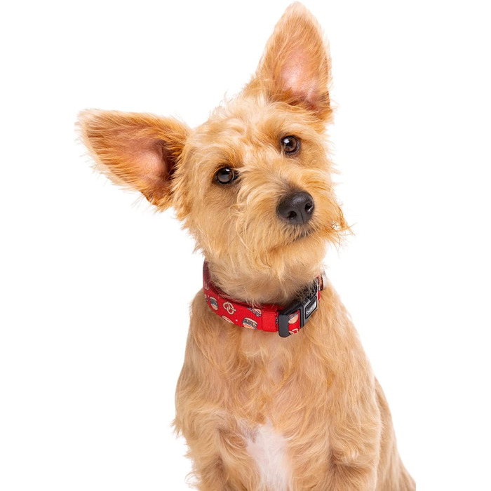 Нашийник для собак DUKIER, регульований, з неопрену, міцний, дизайн New York, розмір XS