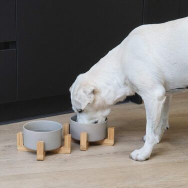 Набір мисок для котів та собак Navaris (2 шт) - серія Babus, сірий