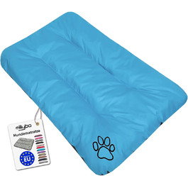 колір: блакитний