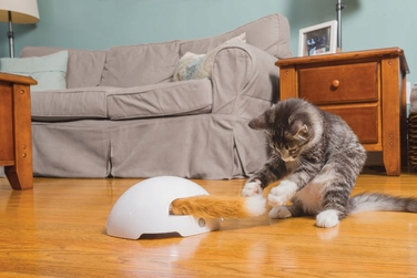 Інтерактивна іграшка для котів PetSafe Fox Den Automatic Cat Teaser