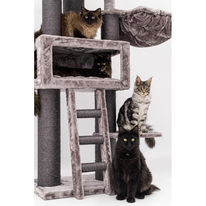 Дряпак для котів Petrebels Parklane 175 см, преміум, з XXL гамаком, спальним будиночком, диваном, товсті стовпи, кольору капучино