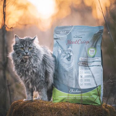 Сухий корм для дорослих котів PLATINUM MeatCrisp з куркою, беззерновий, 1.5 кг