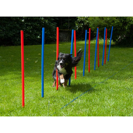 Набір для дресирування собак Agility Set: 12 шлагбаумів червоно-синіх, сумка для перенесення