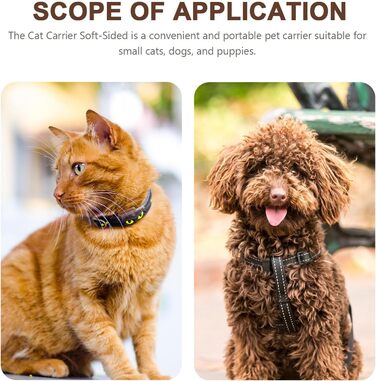 ANDRESLAD Сумка-переноска для котів та цуценят з дихаючої тканини Оксфорд, легка, з сіткою, для подорожей