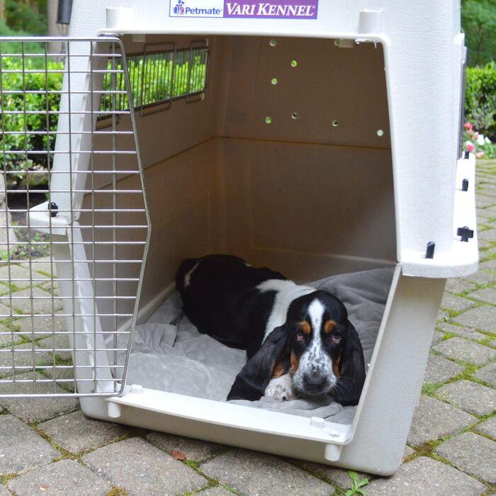 PetFusion Premium Plus велика двостороння собача ковдра 135x107 см, сіра мікроплюш, 100% м'який поліестер