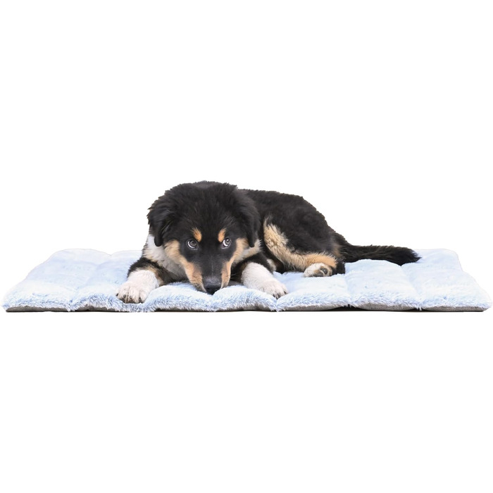 Килимок для собак великих порід, сірий, 65x80 см. Зберігає суглоби, легко переносити, машинного прання. Двосторонній, для літа та зими.