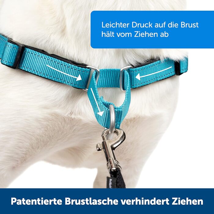PetSafe Easy Walk Deluxe - шлейка для собак, нейлонова, чорна, розмір M (1 шт.)