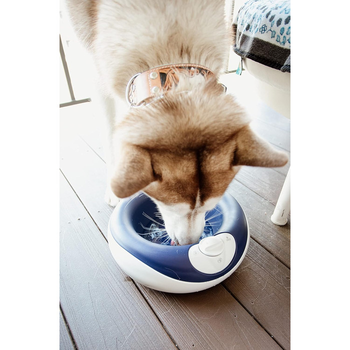 Автоматична поїлка Torus Pet Maxi для собак і котів, 2 л, синя, з фільтром, антимікробна, BPA-free, для дому і подорожей, не протікає