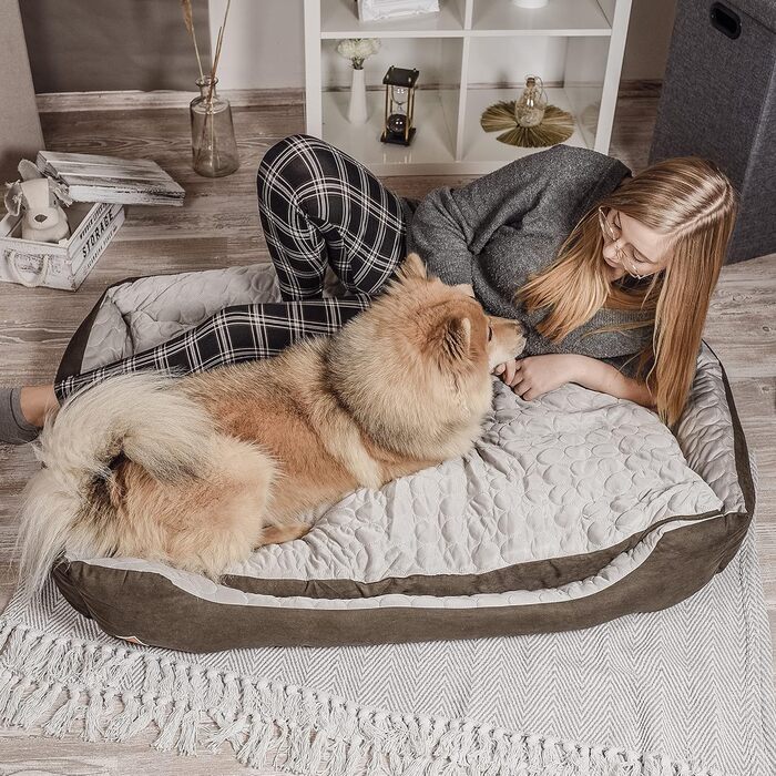 Крісло-ліжко для собак Ne&no® 2 в 1 | Крісло для собак середнього розміру 80x60 см | Знімний чохол, коричневе | Персоналізоване ліжко для собак