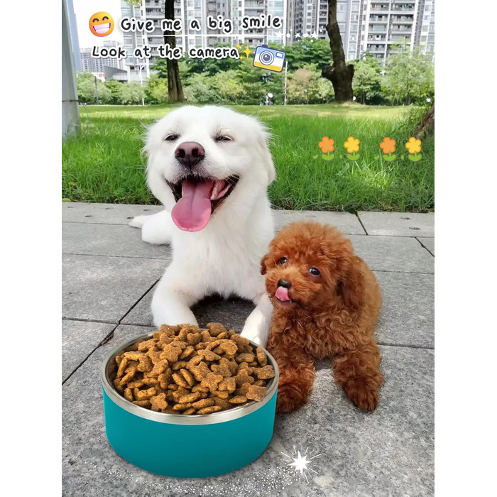 Набір мисок для собак IKITCHEN з нержавіючої сталі, подвійні стінки, 1.8 л, блакитний, для корму та води