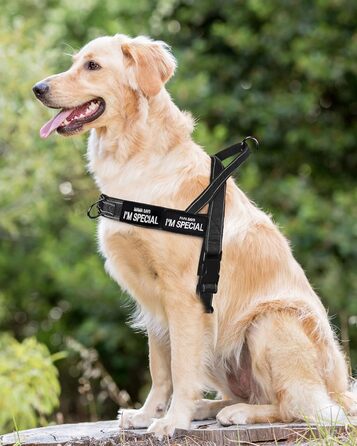 Шлейка для собак Eeyfarog No Pull без ривка, для малих та середніх порід, чорна, регульована, світловідбиваюча (M, обхват грудей 53–70 см)