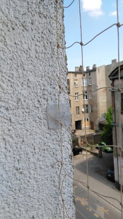 Захисна сітка на балкон від котів, птахів та голубів, 5х3 м, вічко 50 мм, без свердління