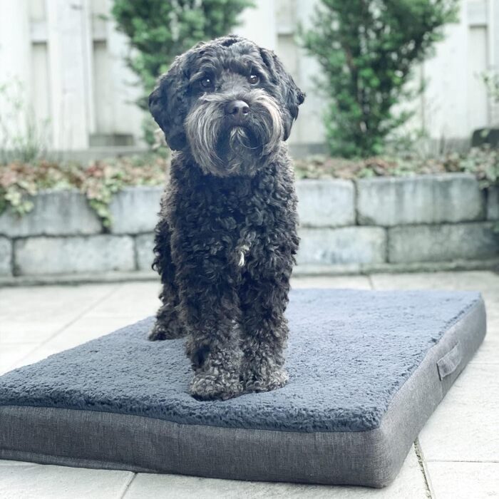 Ортопедичний килимок для собак Bobby, віскоеластична піна, знімний чохол, плюшеве хутро XL: 120x75 см, антрацит