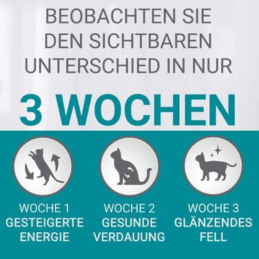 Сухий корм для дорослих котів PURINA ONE Bifensis з куркою, 6 кг