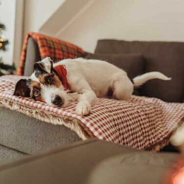 М'яка собача ковдра HUNTER ASTANA в клітинку, 30°C, червона