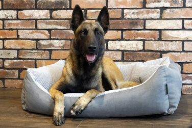 М'яке ліжко для собак Teo 120x100 см, сіре - знімний чохол, кошик для собак середніх порід