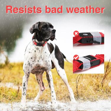 Світловідбиваючий нашийник для собак ASBRILL з LED-підсвічуванням, USB-C, водонепроникний, регульований, 3 режими світла, для собак малого, середнього та великого розміру (L, ЧЕРВОНИЙ)