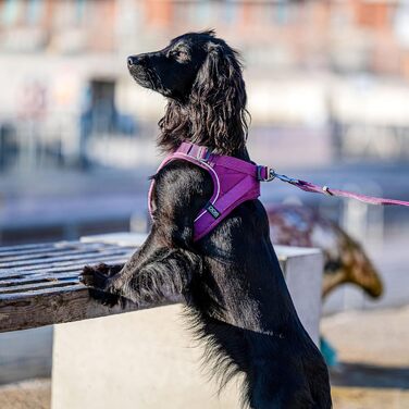 Шлея для собак DOG Copenhagen Comfort Walk Go, розмір M, мокко (коричнева)