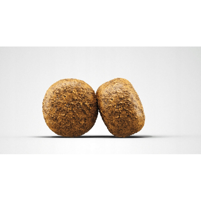 Сухий корм Josera Balance з птицею для собак із надмірною вагою, 12,5 кг