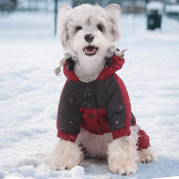Водонепроникна та вітронепроникна куртка для собак на зиму, тепла зимова куртка-комбінезон для собак, регульована, XL (Червоний, однотонний Getaway Solids)