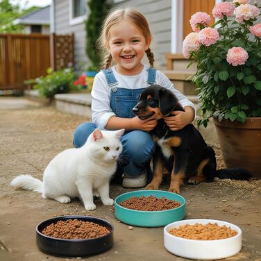 Котлові миски з кераміки для котів та кошенят: набір мисок для корму, годівниці для тварин