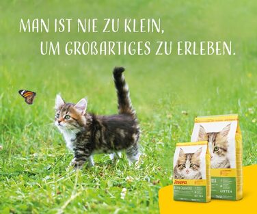 Сухий корм для кошенят JOSERA Kitten grainfree беззерновий, 10 кг