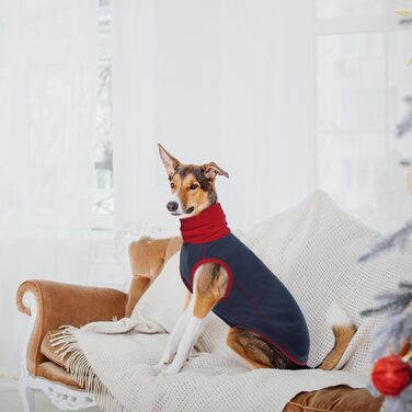 Пуловер для собак MHaustlie, теплий флісовий пуловер з коміром-гетром для маленьких собак, XXL, блакитний