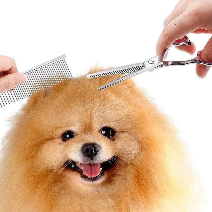 Набір професійних інструментів для грумінгу собак та котів, 7 дюймів, нержавіюча сталь