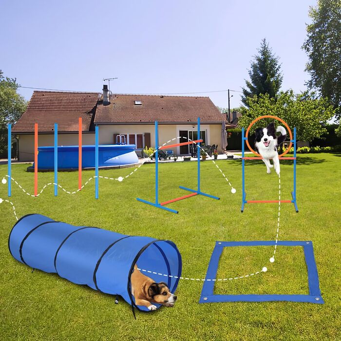 Набір для аджиліті Sonnewelt Agility Set для собак, 5-ти елементний: слалом, бар'єр, кільце для стрибків, тунель. Ідеально для парку, тренувань та цікавих ігор.