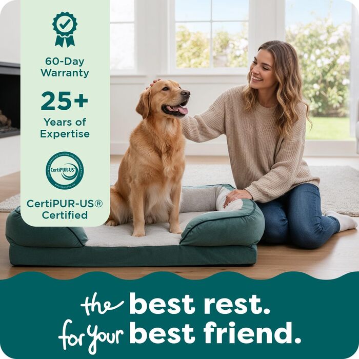 Крісло-лежанка для собак великих порід Furhaven з піною з пам'яті, знімний та пральний чохол, до 81,6 кг, ультра-м'яке штучне хутро та велюр, контурний матрац, XXXL (102 x 71 x 24 см, Celadon Green)