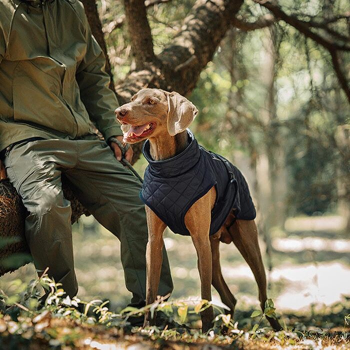 Зимовий теплий одяг для собак: вітронепроникна бавовняна жилетка, утеплена модель для прогулянок, походів, кемпінгу та міста (морська синя)