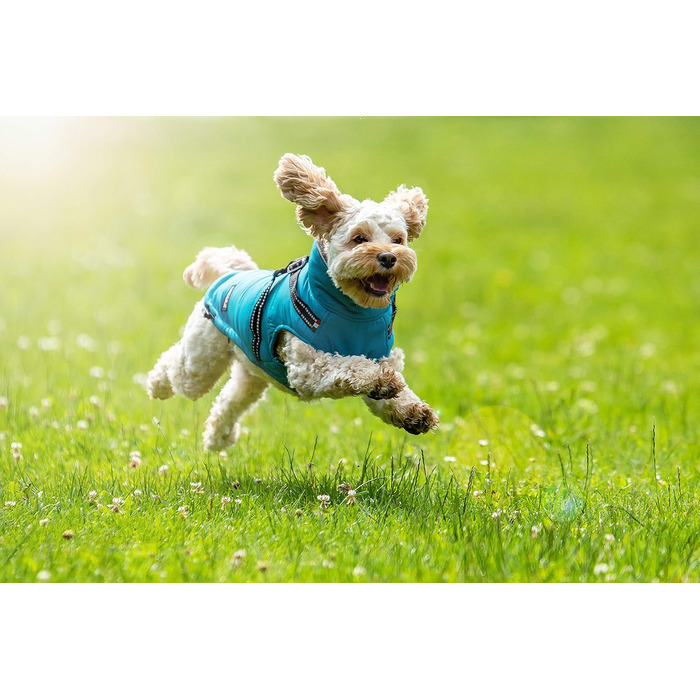 Зимова куртка CHIARA для собак, модель MAX, розмір M, матеріал: 100% поліестер, з флісовою підкладкою, зручна у надяганні, регульована довжина, можна прати в пральній машині, колір: бірюзовий