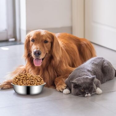 Набір мисок для котів з нержавіючої сталі, 3 шт. Підвищені миски для котів, цуценят та тварин, миски для корму та води