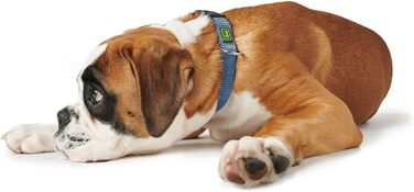 Нашийник для собак HUNTER VARIO PLUS, надійний, зручний, з напівкруглою пряжкою (S/1.0, блакитний)