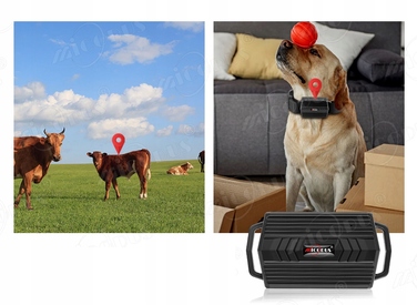 GPS-нашийник-трекер TK935 для тварин (собак і котів) з функцією SOS та мобільним додатком