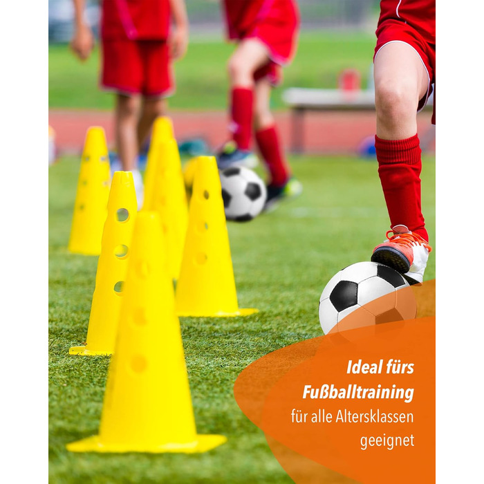 Кегель-бар'єри Sportikel24 для аджиліті – набір бар'єрів для собак, коней та дітей – 50 см