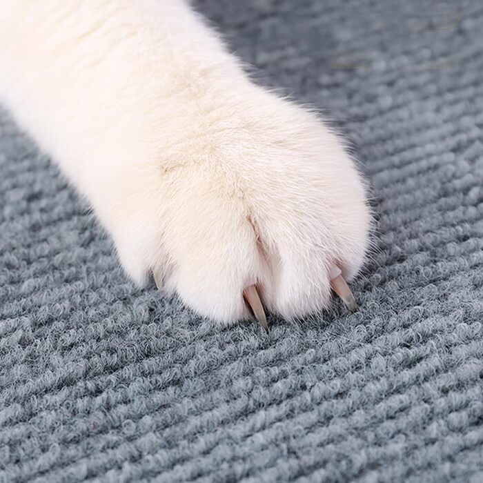 Килимок для котів з клейкою основою, когтеточка, когтедерма для стін, килимок для дряпання, захист меблів від котів (Бежевий, 60x100 см)