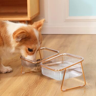 Миска для котів KMERCE з нахилом 15°, піднята миска для корму, аксесуари для котів, миски для корму для маленьких та середніх котів та собак, подвійна миска, неслизька основа, стильний дизайн INS
