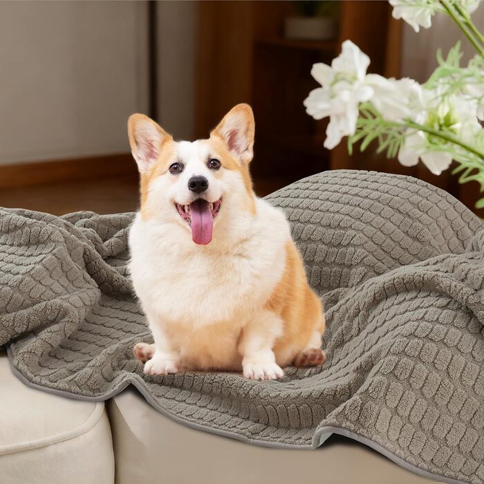 Водонепроникний плед для собак та котів H.Versailtex, 80 x 100 см, пісочний колір