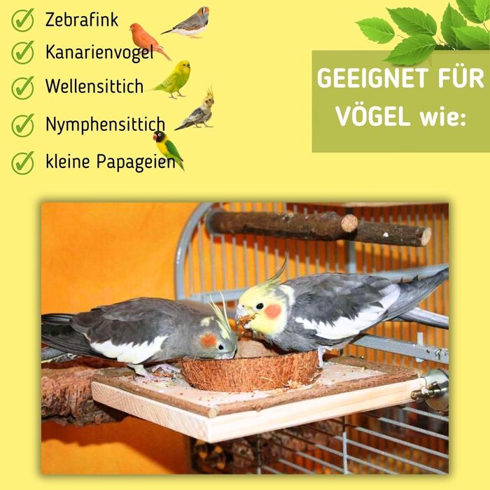 Сидіння для птахів Vogelgaleria з кокосовою мискою, знімна годівниця, іграшка та кормове сидіння для папуг і канарок