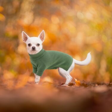 Зелений теплий зимовий пуловер для собак Konvinit, для чихуахуа, такси, бульдога, малих та середніх порід