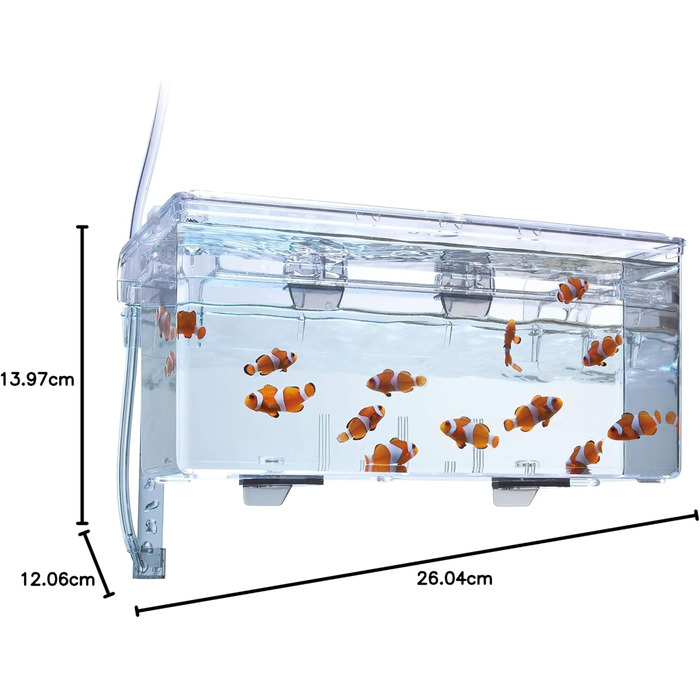 Fluval Hang-On Aufzuchtbecken M: Розведення рибок, об'єм 1.9 л, для акваріума (1 шт.)