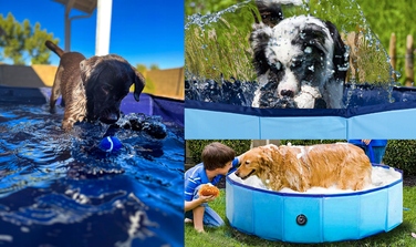 Великий посилений садовий басейн для собак XXL — Меганабір