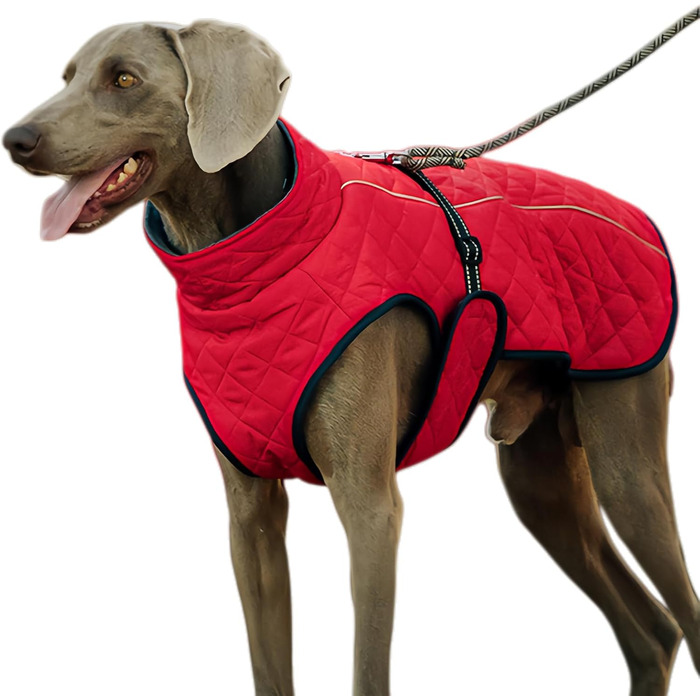 Зимовий теплий одяг для собак - Вітростійка жилетка-світловідбивач для собак, теплий зимовий одяг для собак | Для активного відпочинку: прогулянки, пікніки, кемпінг, катання на лижах, міські прогулянки