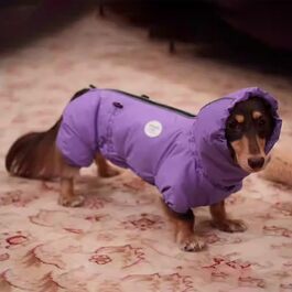 колір: пурпур