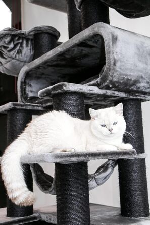 Дряпальня для котів Petrebels Maine Coon XXL, 210 см, з сизалю, чорного кольору