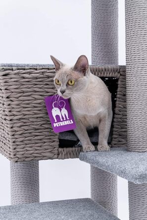 Дряпка для котів Petrebels Caribbean Love 141 см, сіра, натуральний матеріал